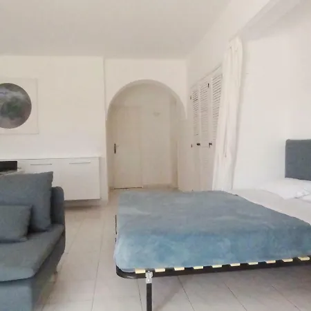 Garden Pool & Design Apartment